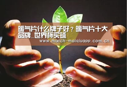 暖气片什么牌子好?暖气片十大品牌_世界杯买球(图3) 世界杯买球