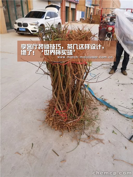 享客厅装修技巧,茶几这样设计,绝了!‘世界杯买球’(图2) 世界杯买球